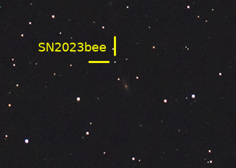 SN2023bee_gr.jpg